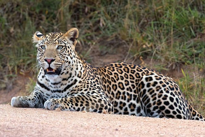 Bwindi impenetrable Kenya Tanzania Gorilla Safari 14 days 13 nights - Maasai Mara: Rift Valley drive plus real game drive time