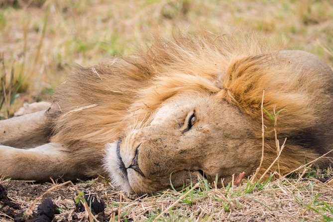 Eight days cultural and wildlife tour in Uganda - Day 5: Moroto mountain biking and a gold mining community visit