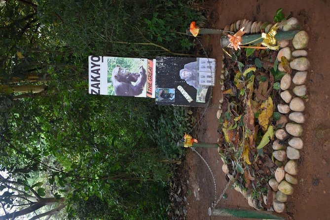 Entebbe Eco Tour - Full Day - Entebbe Botanical Gardens: birds, trees, and cliff views over the peninsula
