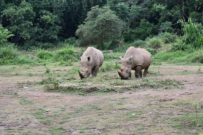 Entebbe Eco Tour - Full Day - Uganda Reptile Village: snakes, lizards, and eco-tourism education