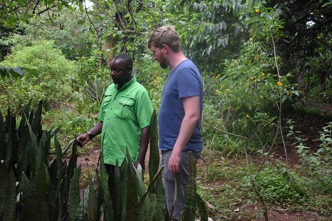 Entebbe Eco Tour - Full Day - Uganda Wildlife Conservation Education Centre: where rescue work is the main story