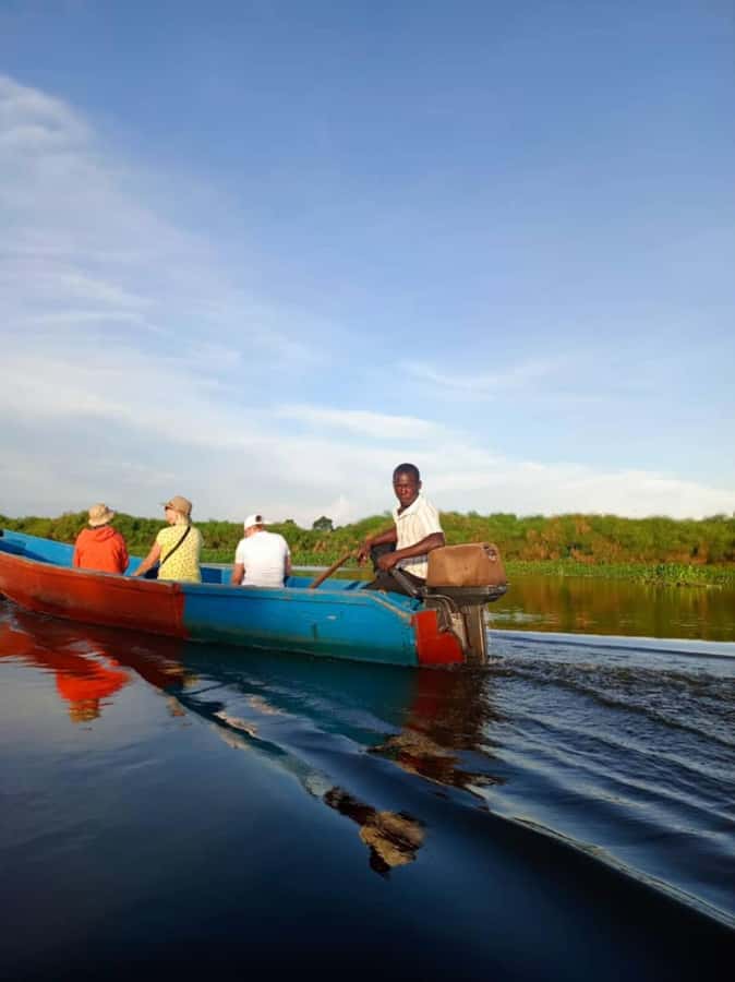 Entebbe: Mabamba Swamp Shoebill Tracking Boat Tour - The birding payoff: beyond Shoebill, what you can spot