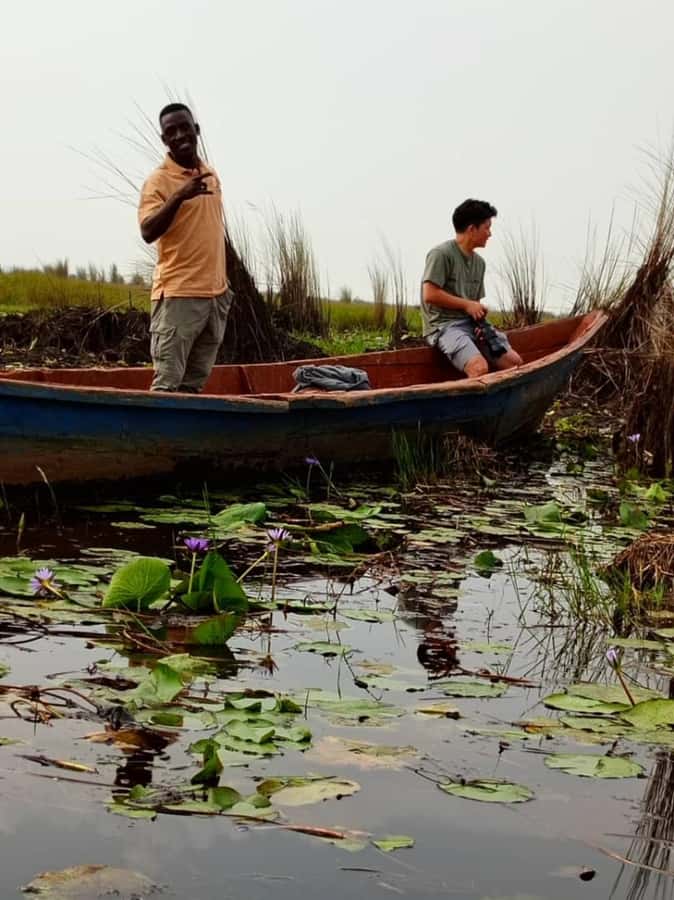 Entebbe: Mabamba Swamp Shoebill Tracking Boat Tour - Price and value: what $115 buys you in the real world