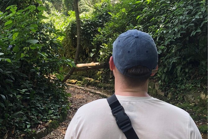 Entebbe Walking Tour (3 Hours) with Zoo and Botanical Gardens Options - Rolex egg roll and other street food stops, done thoughtfully