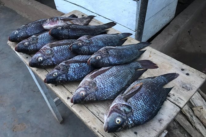 Fishing Village Food Tour & Luwombo Stop - Logistics That Make Life Easier in Kampala