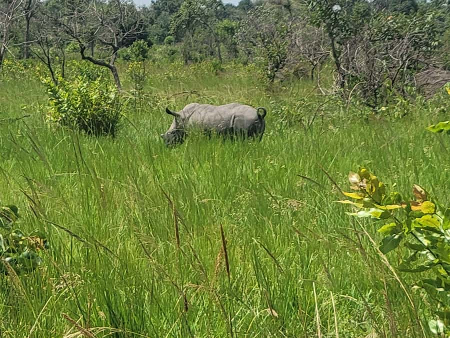 From Kampala: Ziwa Rhino Sanctuary Day Tour with Lunch - Lunch at the sanctuary restaurant, then a slower afternoon
