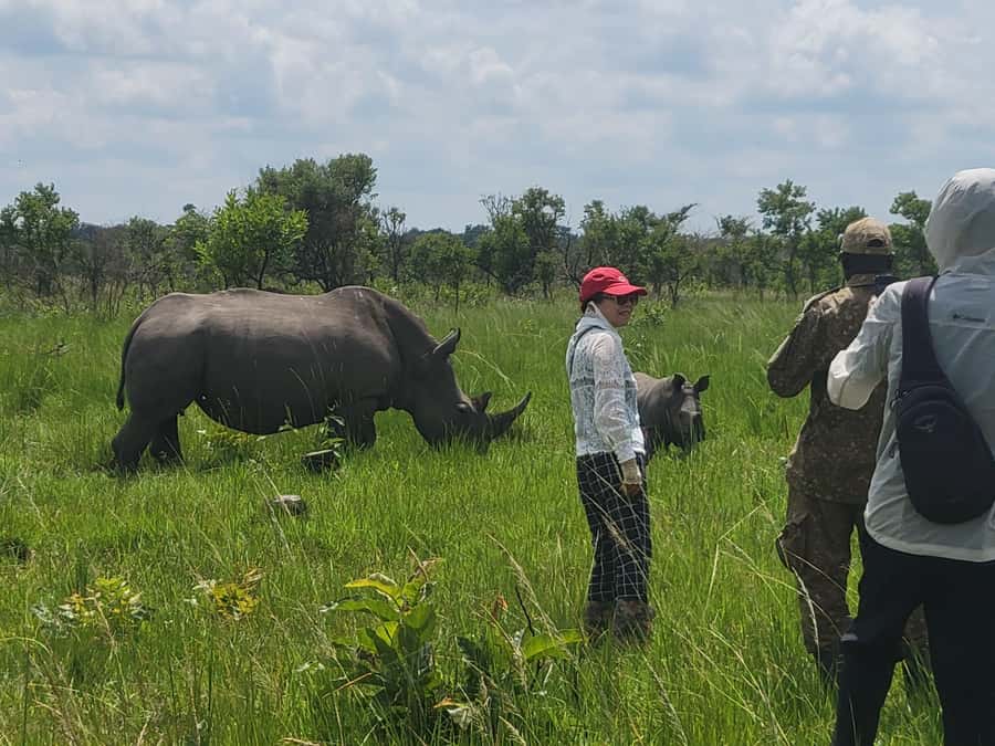 From Kampala: Ziwa Rhino Sanctuary Day Tour with Lunch - Who should book, and who should skip this trek