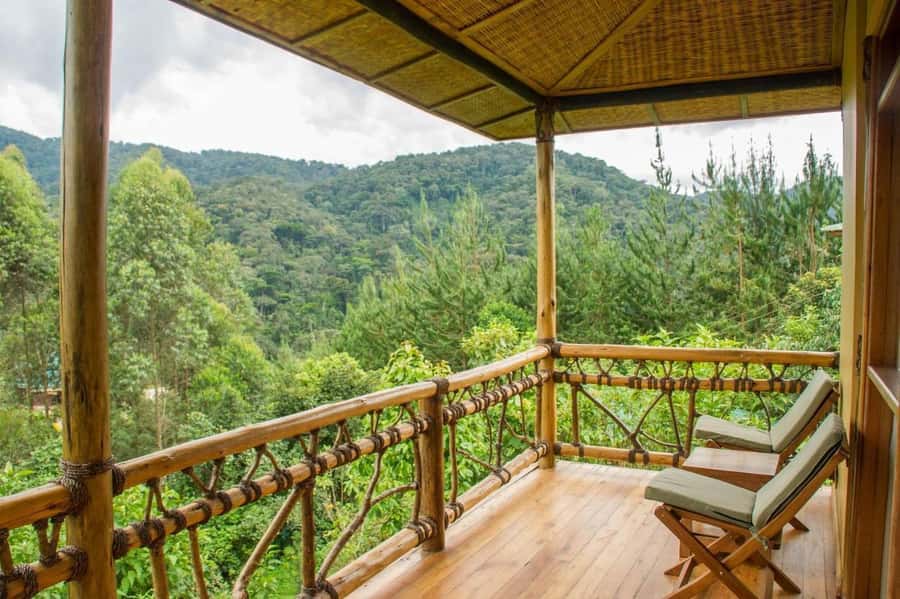 From Kigali: 2-Day Gorilla Trek: Bwindi Nat Park - Day 1 From Kigali to Your Uganda Lodge (With Border Help)