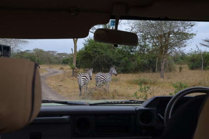 Full-Day Lake Mburo National Park Safari with Boat trip (2 day option available) - The real rhythm: pickup, drive time, and a 15-hour day that stays manageable