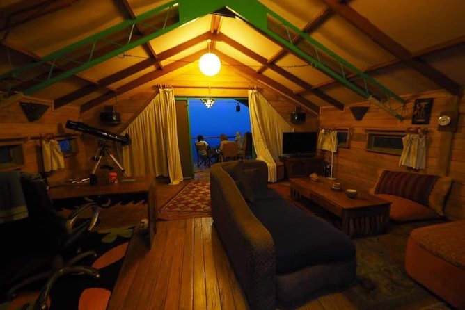 Gorilla and chimp experience holiday - Key highlights worth knowing before you go