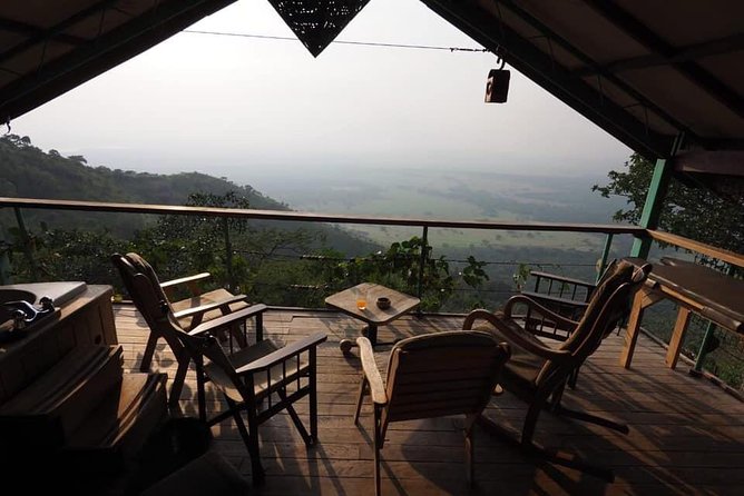 Gorilla and chimp experience holiday - Entebbe start time, pickup, and how to keep day-one smooth