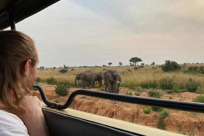 Gorilla & Chimpanzee Trekking in Uganda - 5 Days - From Kampala to Queen Elizabeth: The First Wildlife Base at Mweya