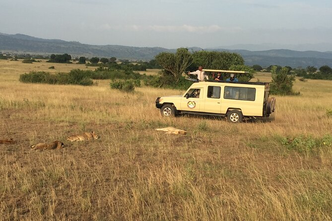 Gorilla & Chimpanzee Trekking in Uganda - 5 Days - Kalinzu Chimp Trek Plus Kazinga Channel Boat Cruise