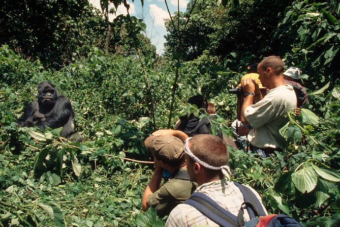 Gorilla Tracking & Batwa Culture Experience - Day 3 Return Through Kabale and Lunch at Lake View Hotel