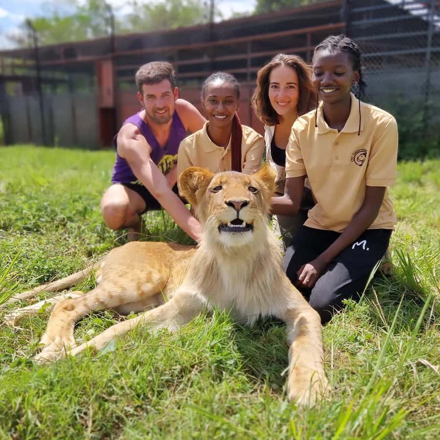 Kampala: Conservation Centre for Wildlife Guided Tour - Why this Kampala wildlife rescue visit feels like a mini safari