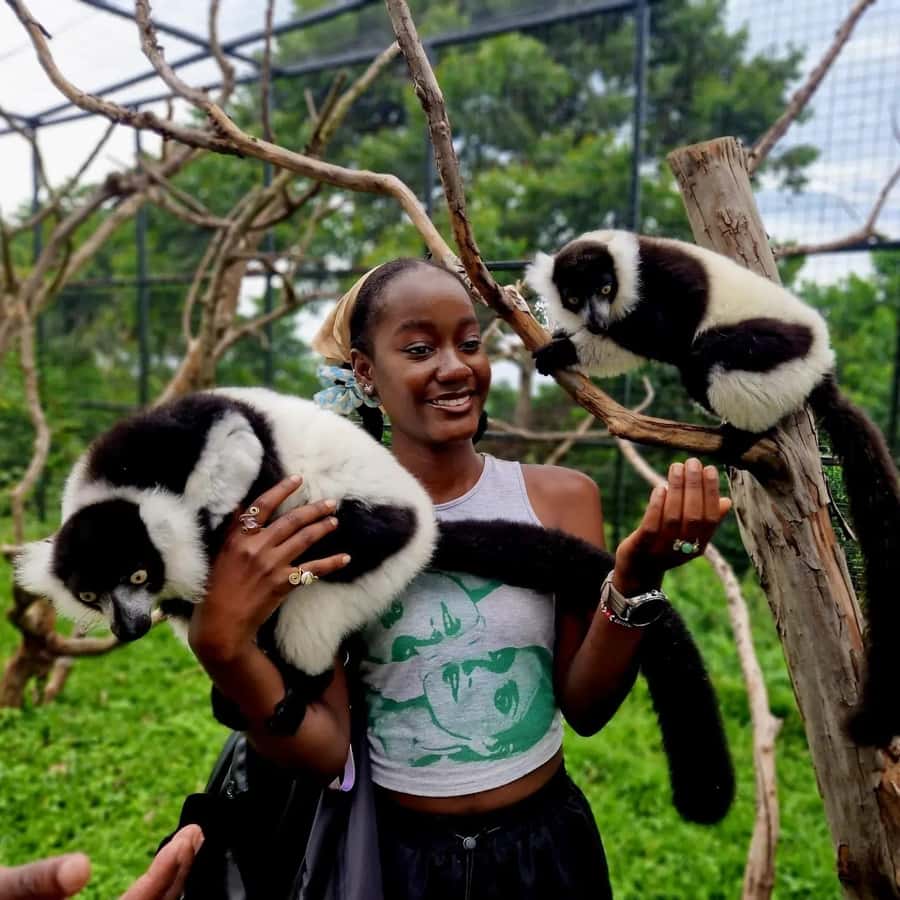 Kampala: Conservation Centre for Wildlife Guided Tour - What happens when you arrive, and how the guided walkthrough works