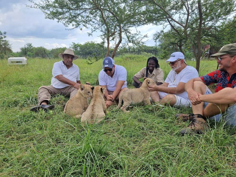 Kampala: Conservation Centre for Wildlife Guided Tour - Lion time: cub closeness, pride viewing, and calm full-size moments