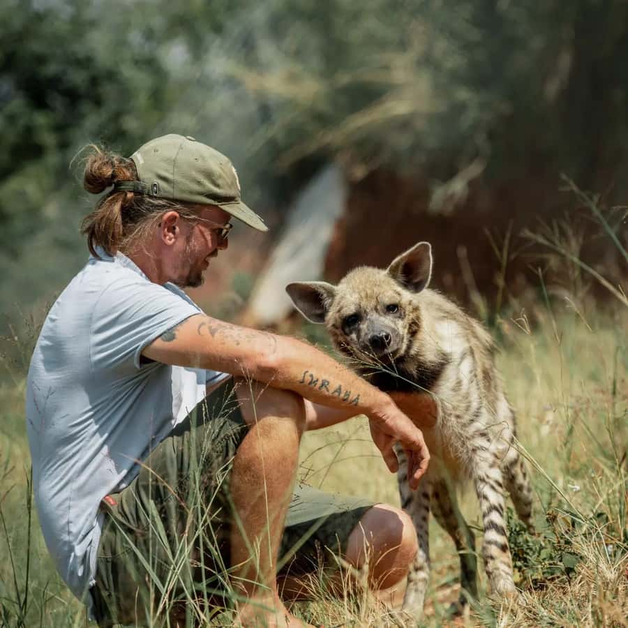 Kampala: Conservation Centre for Wildlife Guided Tour - Beyond lions: hyenas, painted dogs, jackals, and the wider animal mix