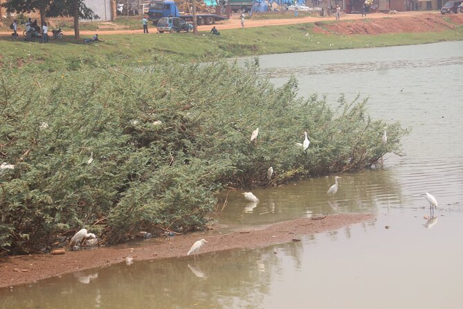 Kampala cultural tours - Kabaka’s Lake and the more spiritual side of Buganda tradition