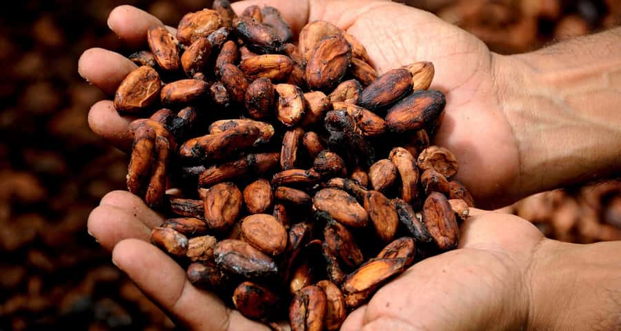 Kampala: Hands-On Chocolate Making Experience - Finding Moonbean Chocolate in Bugolobi, and what to wear