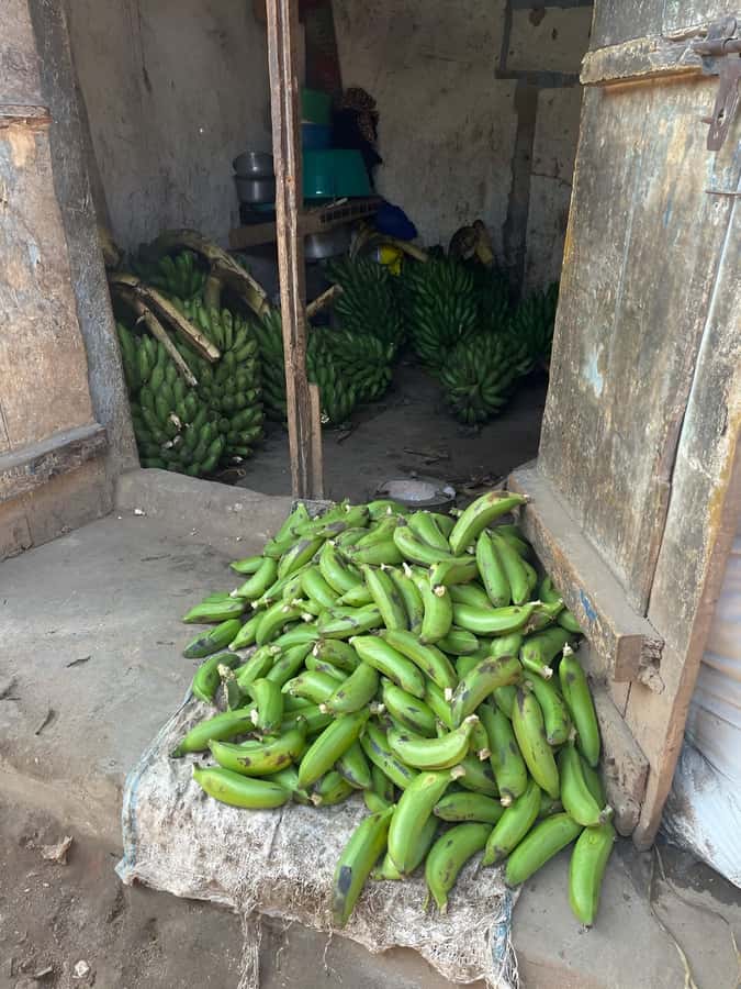 Kampala: Katanga Slum Guided Walking Tour - The Wandegeya stop: scenic views that reset your perspective