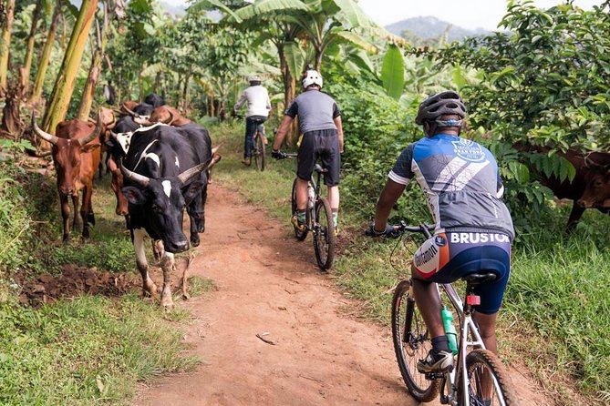 Lake Victoria Island Cycling Tour from Kampala - Stop 1 in Mukono: Tiny Villages, Green Jungle, and Quiet Island Roads