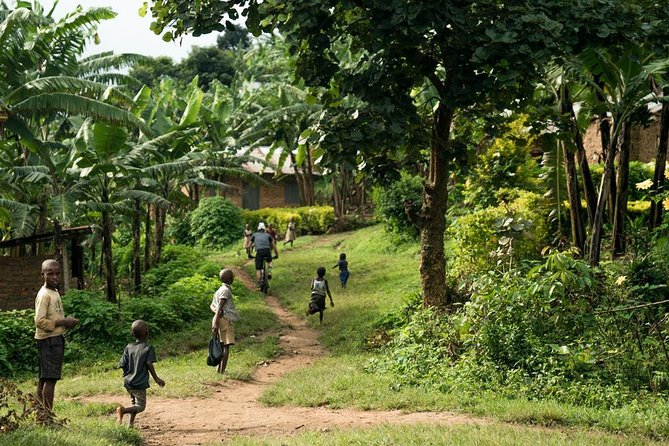 Lake Victoria Island Cycling Tour from Kampala - Stop 2 Toward Mabamba Swamp: Shoebill Watching Is the Extra Ticket Piece