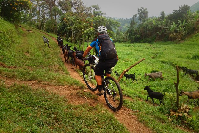 Lake Victoria Island Cycling Tour from Kampala - Terrain Reality Check: Hills, Mud, Potholes, and Single Track Vibes