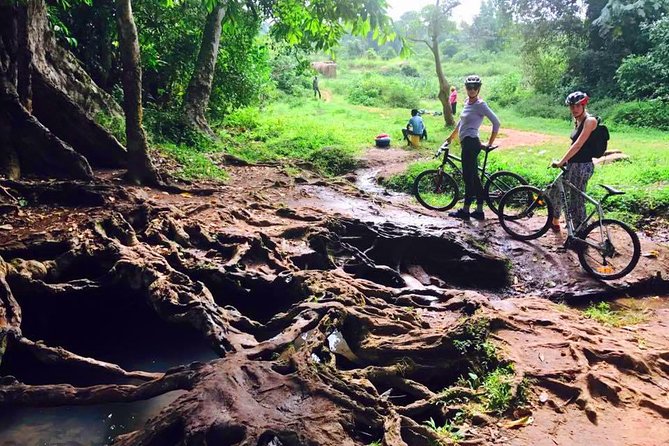 Lake Victoria Island Cycling Tour from Kampala - Bikes, Helmet, and Safety: What’s Included Versus What You Control