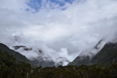 Mountain Rwenzori Trekking Uganda 9 Day Safari