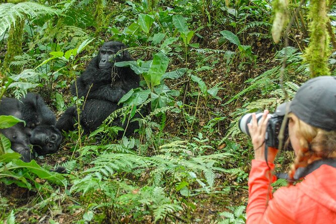 Private 3 Day Gorilla Trekking Safari in Uganda - The guide factor: why the names people mention matter