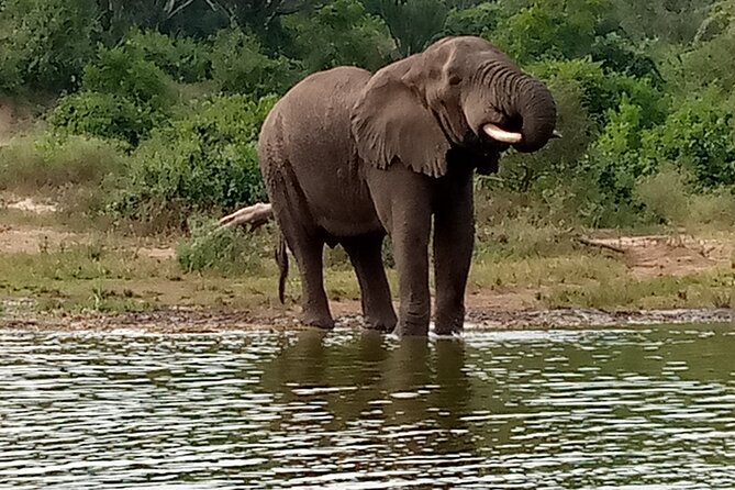 Private 3-Day Tour in Queen Elizabeth Park Safari - Why Queen Elizabeth National Park and Kazinga Channel work so well together
