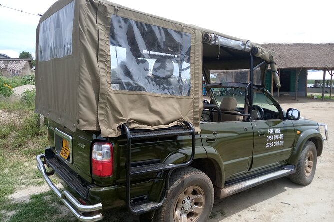 Private 3-Day Tour in Queen Elizabeth Park Safari - Meals, guides, and what is included in a way that affects your budget