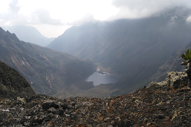 Rwenzori Mountains Trekking with Margherita Peak Summit - Day 3: Lower Bigo Bog to Bujuku Lake, the cold swamp chapter