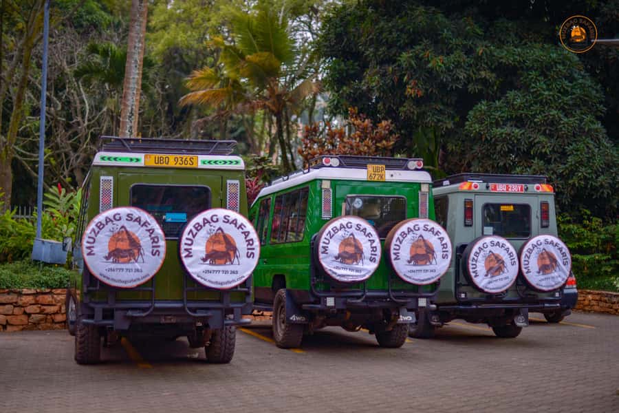 The Big5 3 Days Wildlife Adventure Experience in Uganda. - Entering the world of Murchison Falls and Ziwa Rhino Sanctuary