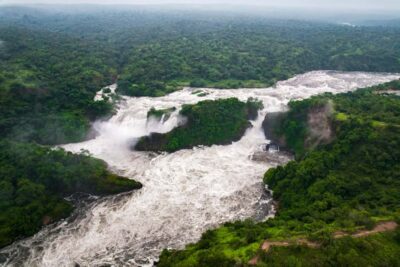 The Big5 3 Days Wildlife Adventure Experience in Uganda.
