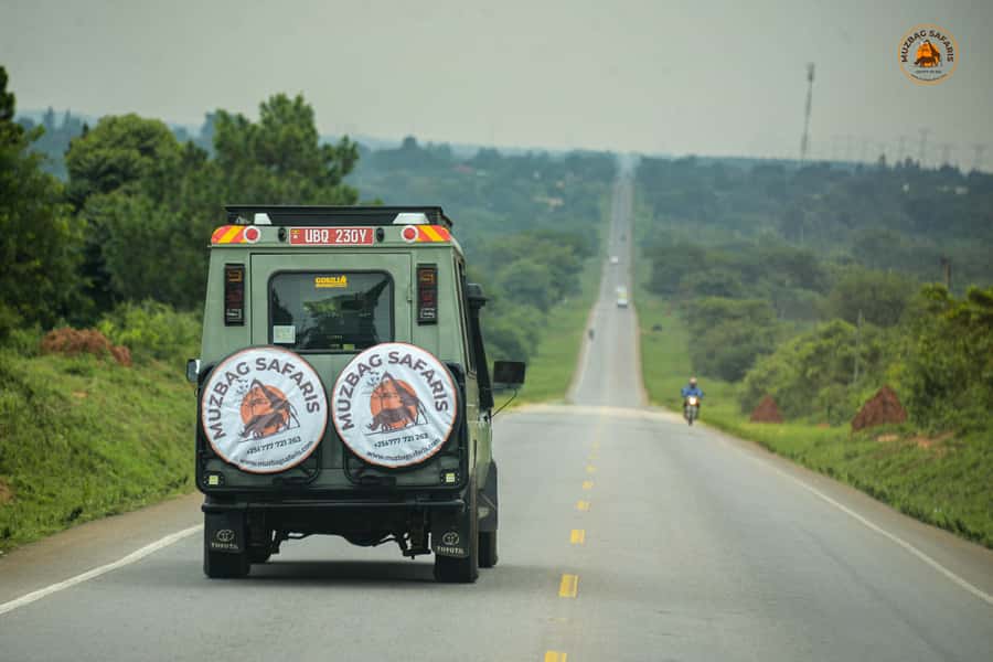 The Big5 3 Days Wildlife Adventure Experience in Uganda. - Price and value: is $900 per person a good deal for what’s included?