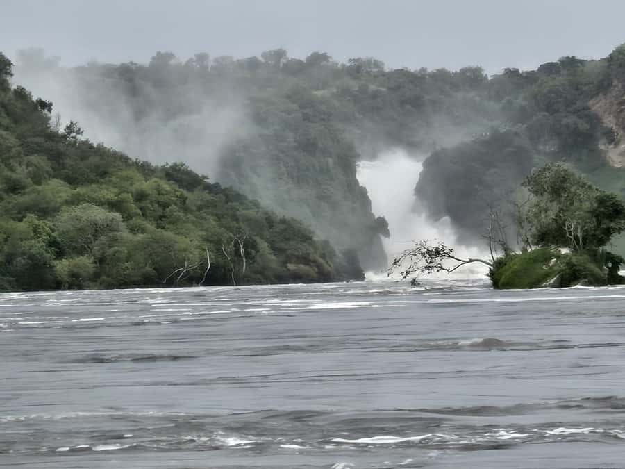 Uganda: 2-Day Murchison Falls Park Safari with Boat cruise - Wildlife and Birding Expectations You Can Actually Plan For